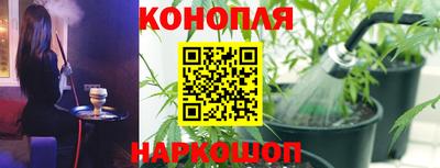 гашик Пугачёв