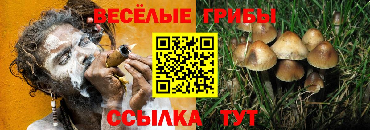 Галлюциногенные грибы ЛСД Азнакаево