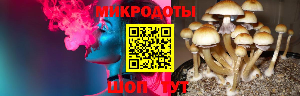 Псилоцибиновые грибы ЛСД  Галлюциногенные грибы ЛСД  Азнакаево  Вход с VPN 